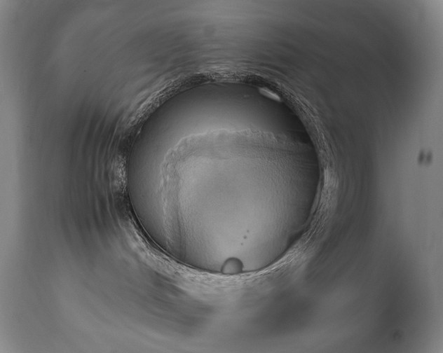 X0000110970048200906191345