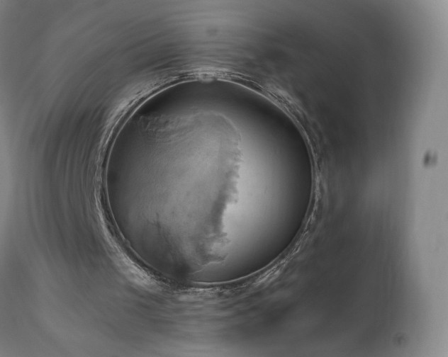 X0000110970049200906191345