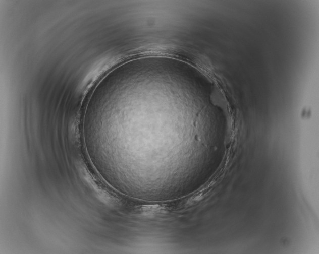 X0000110970050200906191345