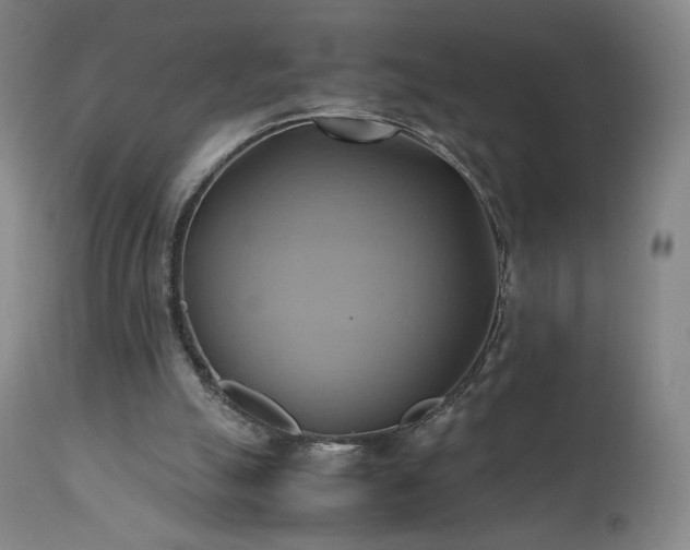 X0000110970055200906191345