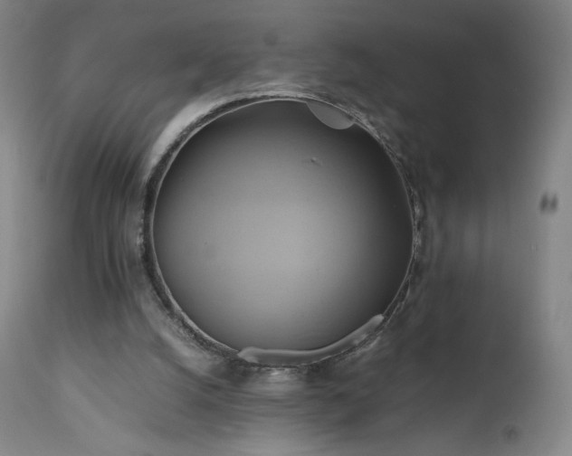 X0000110970056200906191345