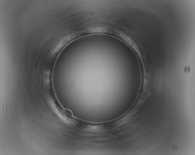 X0000110970057200906191345