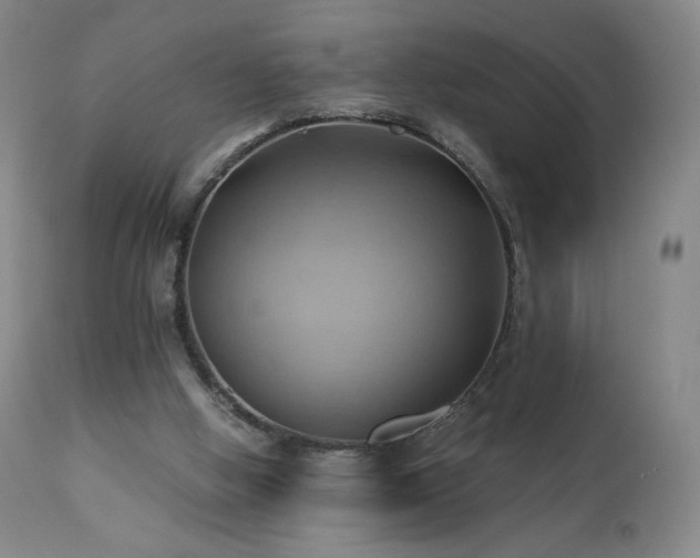 X0000110970058200906191345