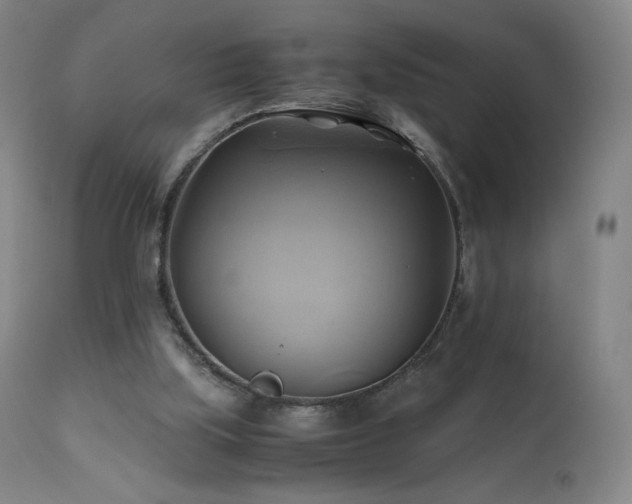 X0000110970059200906191345