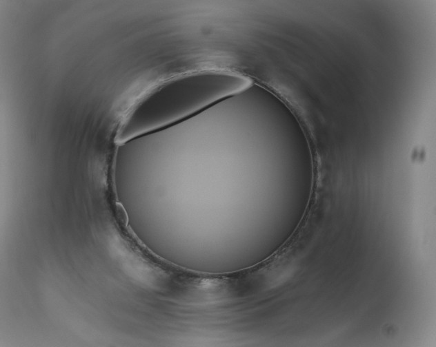 X0000110970060200906191345