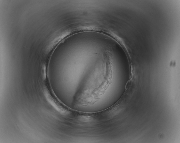 X0000110970061200906191345