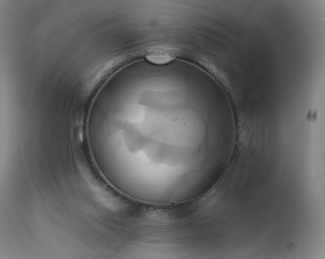 X0000110970062200906191345