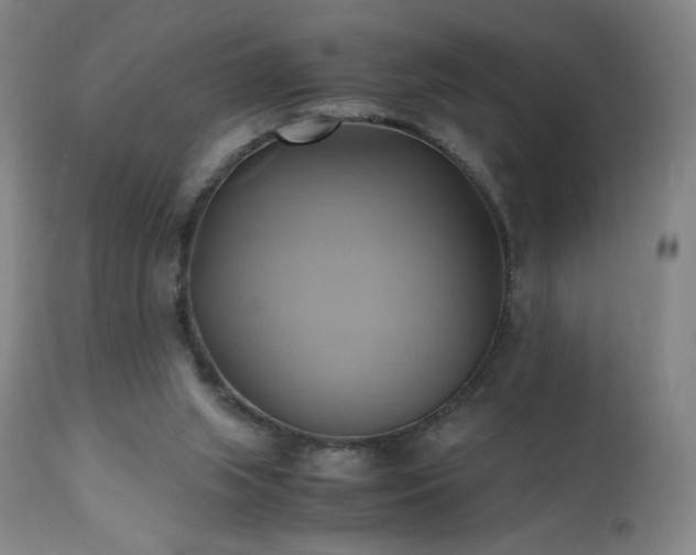 X0000110970063200906191345