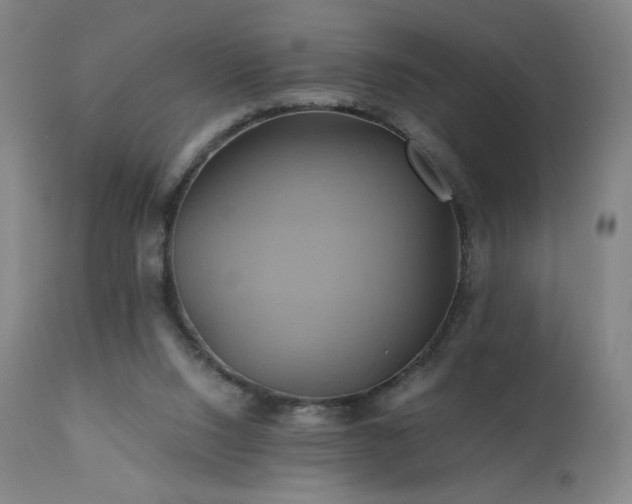 X0000110970064200906191345