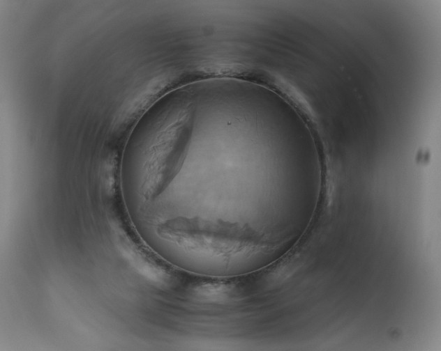 X0000110970065200906191345