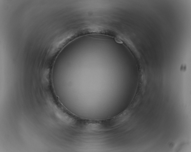 X0000110970066200906191345