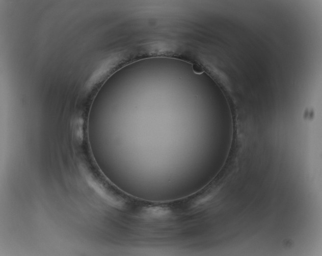 X0000110970067200906191345