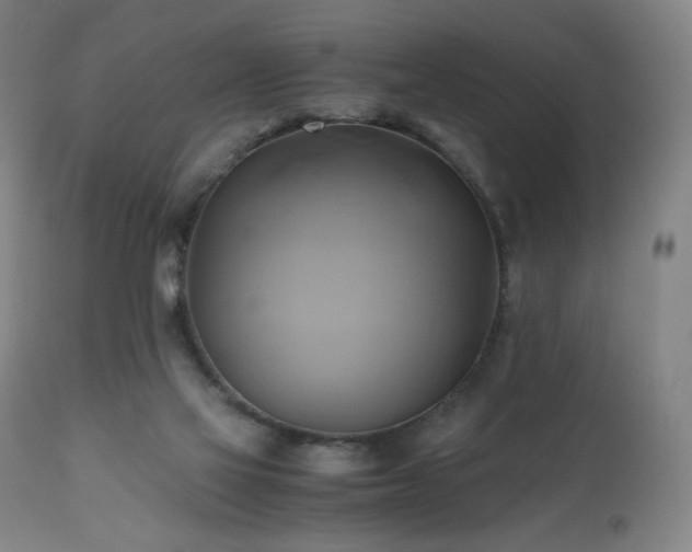 X0000110970069200906191345