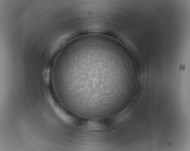 X0000110970070200906191345