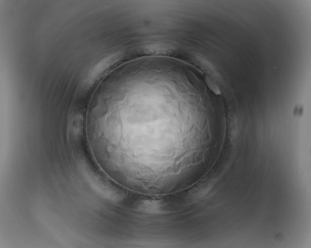 X0000110970071200906191345