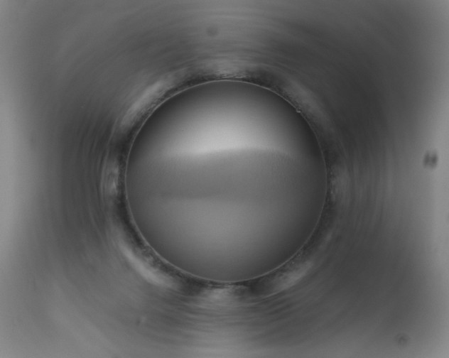 X0000110970072200906191345