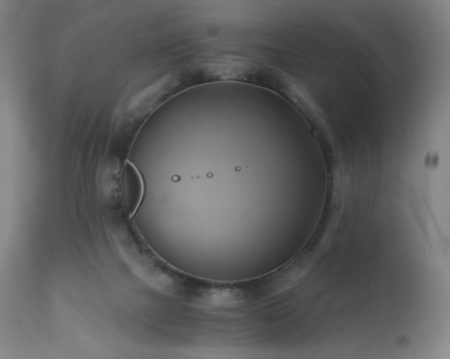 X0000110970073200906191345