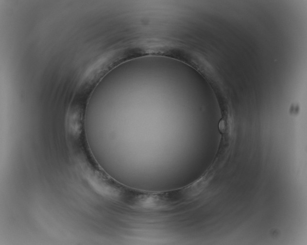 X0000110970074200906191345