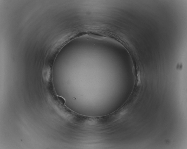 X0000110970076200906191345