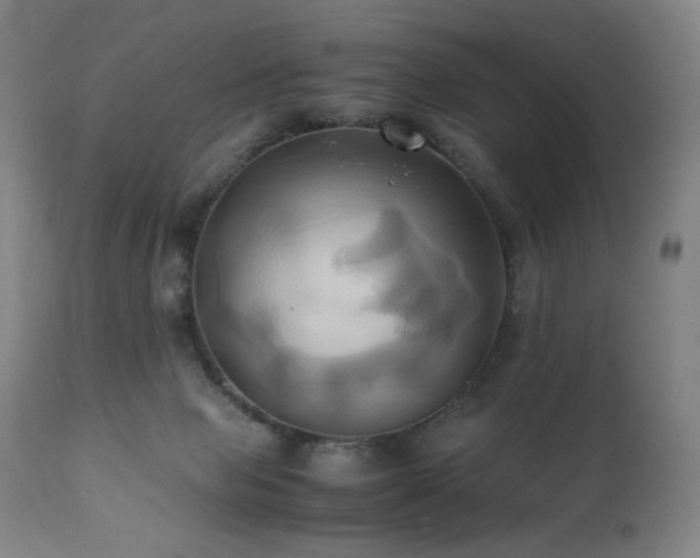 X0000110970077200906191345