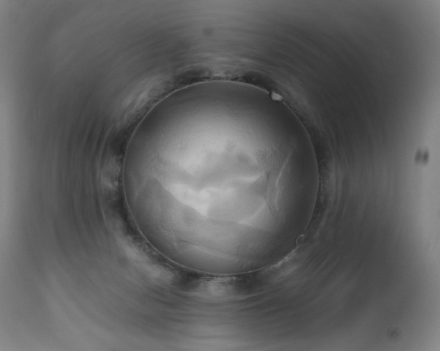 X0000110970078200906191345