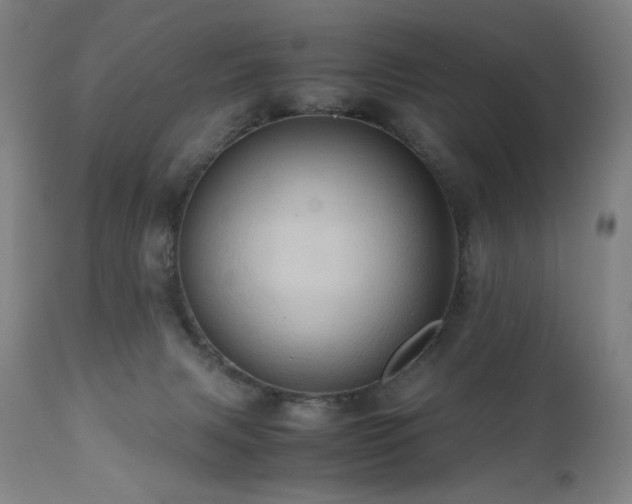 X0000110970079200906191345