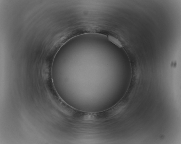 X0000110970080200906191345