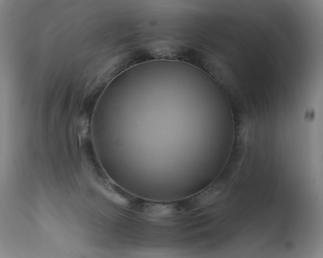 X0000110970081200906191345