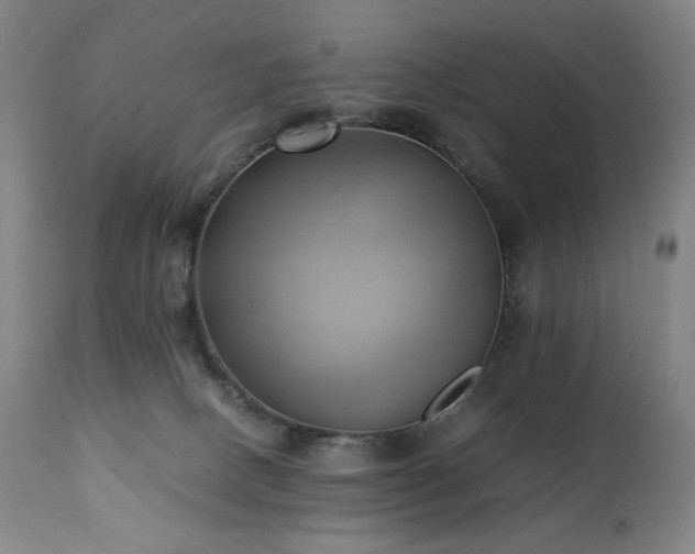 X0000110970082200906191345