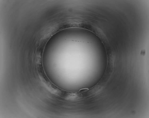 X0000110970083200906191345