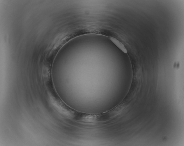 X0000110970084200906191345