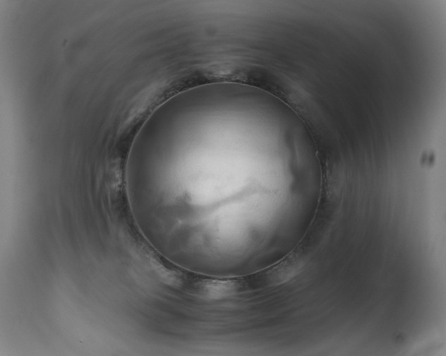 X0000110970085200906191345