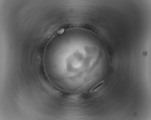 X0000110970086200906191345