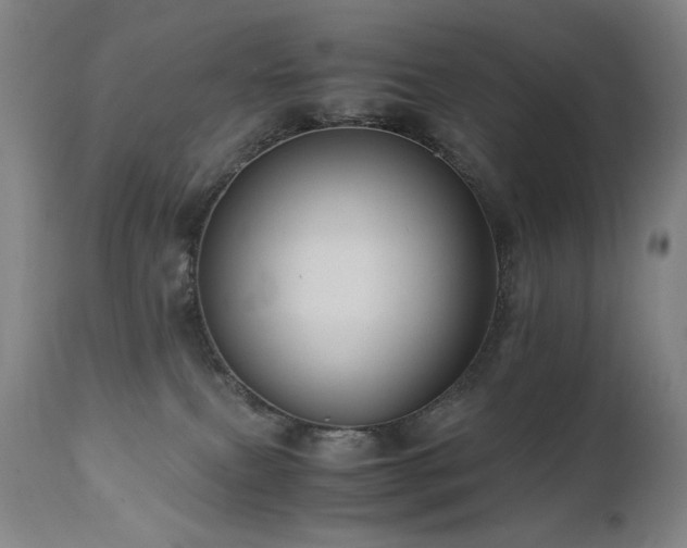 X0000110970087200906191345