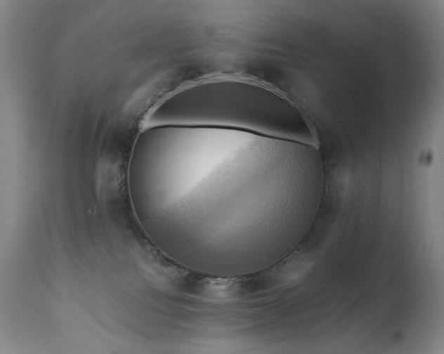 X0000110970088200906191345