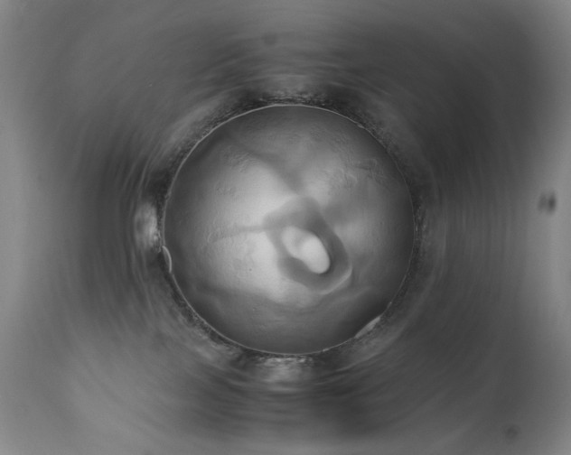 X0000110970089200906191345