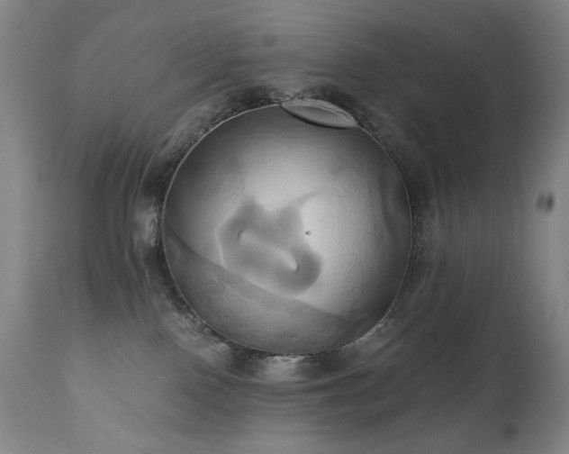 X0000110970090200906191345