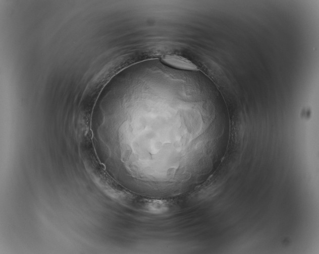 X0000110970091200906191345