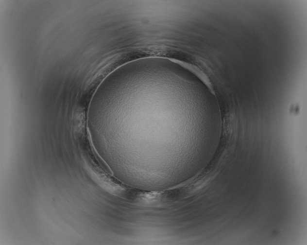 X0000110970092200906191345