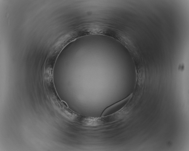 X0000110970093200906191345