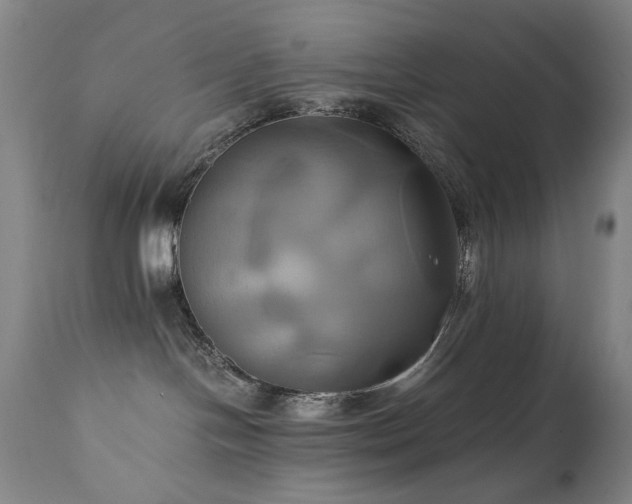 X0000110970094200906191345