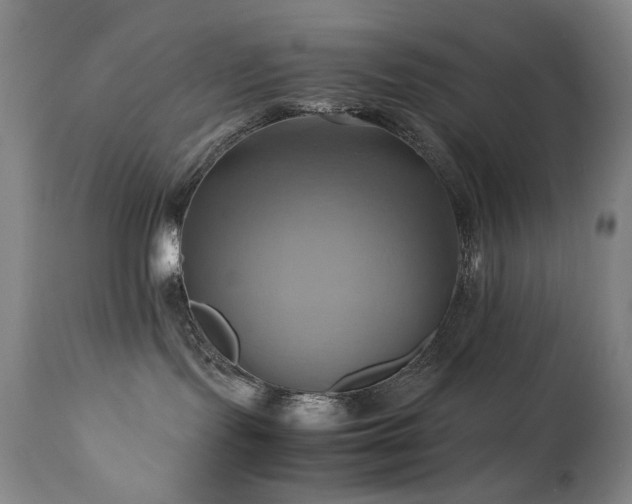 X0000110970095200906191345