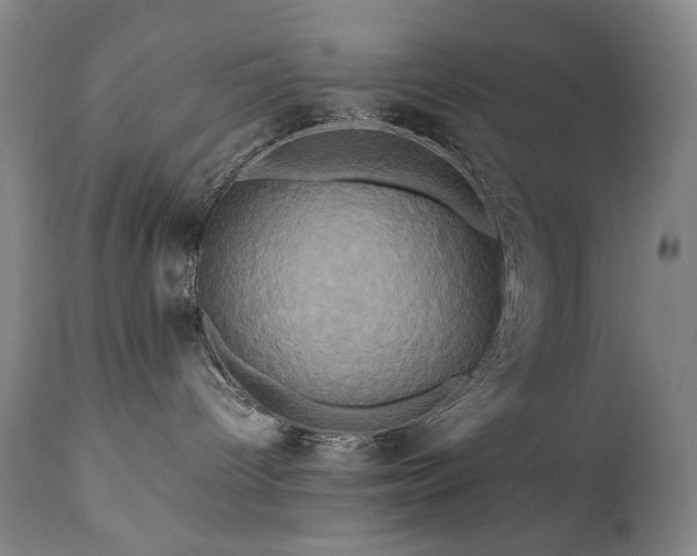 X0000110970096200906191345