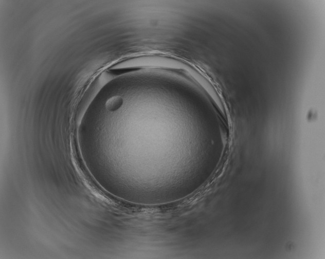 X0000110970097200906191345