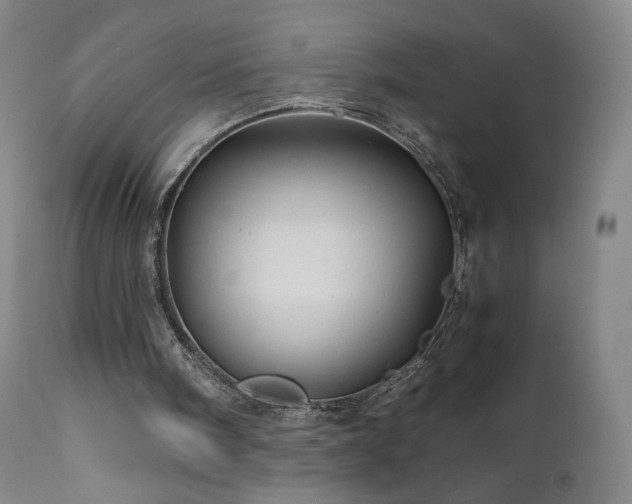 X0000110970098200906191345