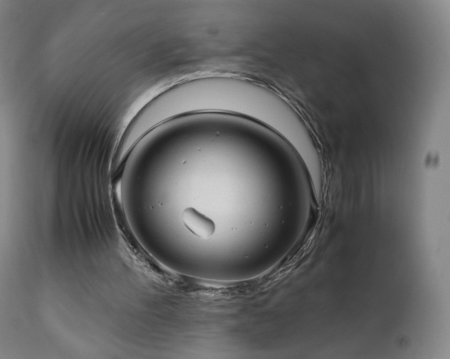 X0000110970100200906191345