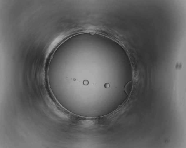 X0000110970102200906191345