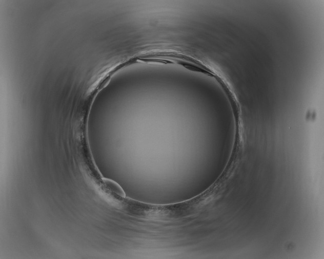 X0000110970105200906191345