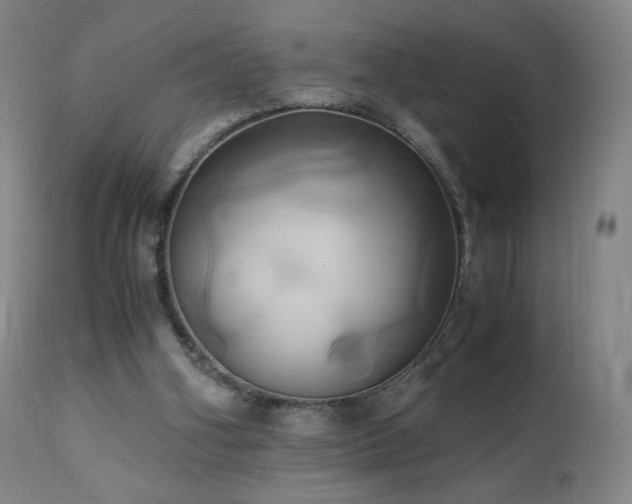 X0000110970106200906191345