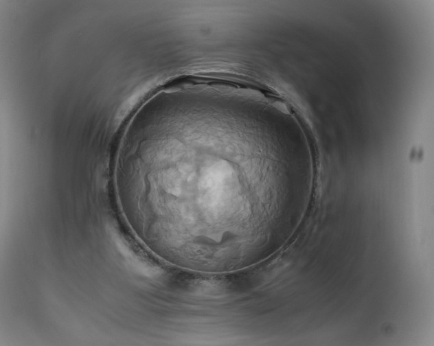 X0000110970107200906191345